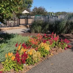 Round Lake Park - Eden Prairie