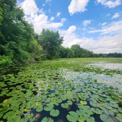 Staring Lake Regional Park - Eden Prairie