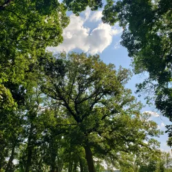 Gibbs Lake Park - Hopkins