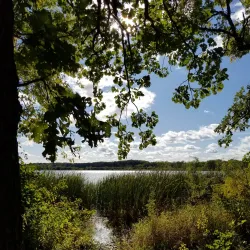 Gibbs Lake Park - Hopkins