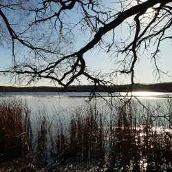 Gibbs Lake Park - Hopkins