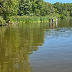 Gibbs Lake Park - Hopkins