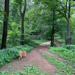 Hopkins Off-Leash Dog Park - Hopkins