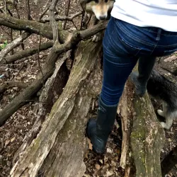 Hopkins Off-Leash Dog Park - Hopkins