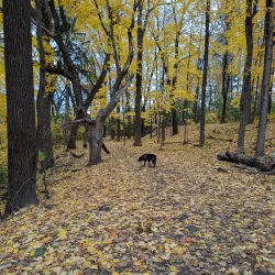Hopkins Off-Leash Dog Park - Hopkins