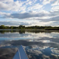 West End Park - Hopkins