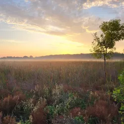 West End Park - Hopkins