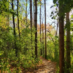 West End Park - Hopkins