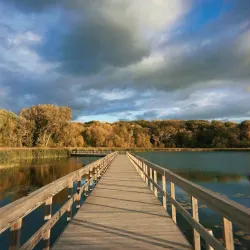 West End Park - Hopkins