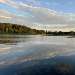 West End Park - Hopkins