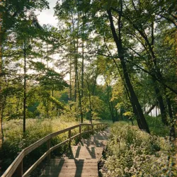 West End Park - Hopkins