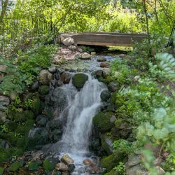 West End Park - Hopkins