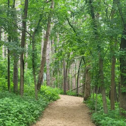 West End Park - Hopkins