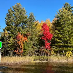 Rainy River Boat Tours - International Falls