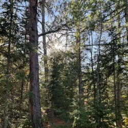 Rainy River Boat Tours - International Falls