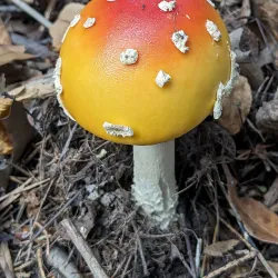 Carver Lake Park - Lakeville