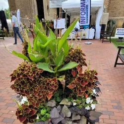 Lakeville Area Arts Center - Lakeville