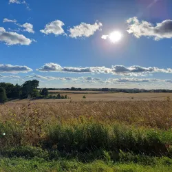 Whitetail Woods Regional Park - Lakeville