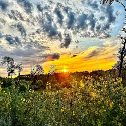 Whitetail Woods Regional Park - Lakeville