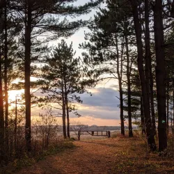 Whitetail Woods Regional Park - Lakeville