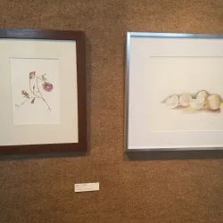 Carnegie Art Center - Mankato