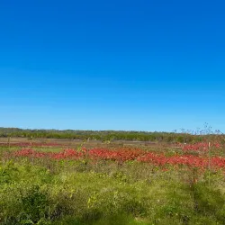 Minneopa State Park - Mankato