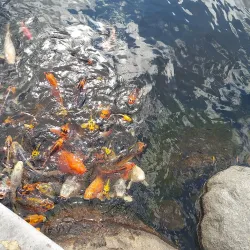 Sibley Park - Mankato