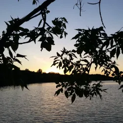 Hoffman Park - Marshall