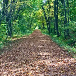 Luce Line Trail - Marshall