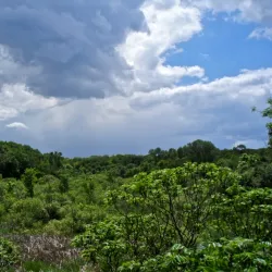 Luce Line Trail - Marshall