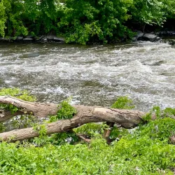 Luce Line Trail - Marshall