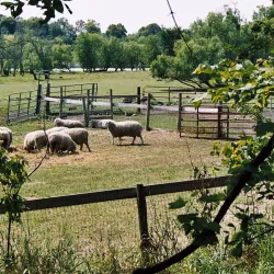 Luce Line Trail - Marshall