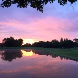 Marshall Golf Club - Marshall