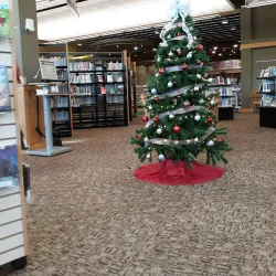 Marshall Public Library - Marshall