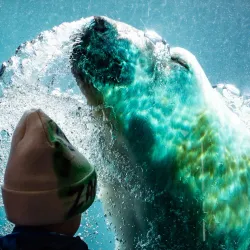 Como Park Zoo and Conservatory - Minneapolis