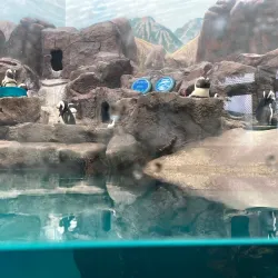 Como Park Zoo and Conservatory - Minneapolis