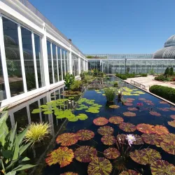 Como Park Zoo and Conservatory - Minneapolis