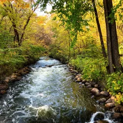 Minnehaha Park and Falls - Minneapolis