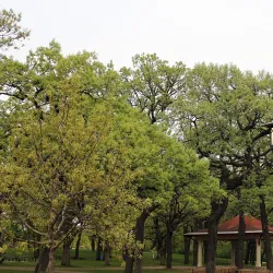 Minnehaha Park and Falls - Minneapolis