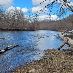 Cannon River Wilderness Area - Northfield