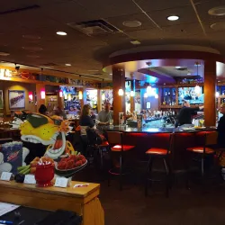 Apache Mall - Rochester