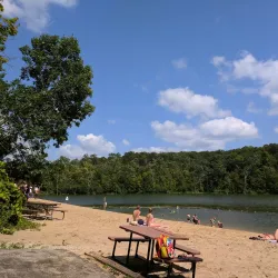 Chester Woods Park - Rochester