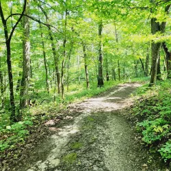 Chester Woods Park - Rochester