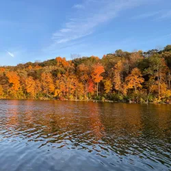 Chester Woods Park - Rochester