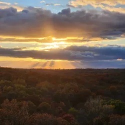 Chester Woods Park - Rochester