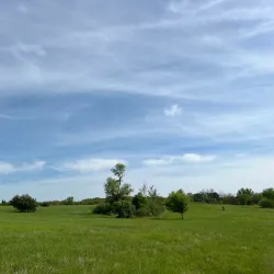 Chester Woods Park - Rochester