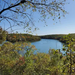 Chester Woods Park - Rochester