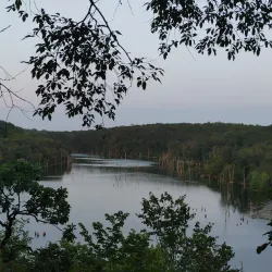 Chester Woods Park - Rochester