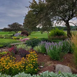 History Center of Olmsted County - Rochester