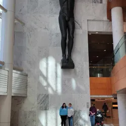 Mayo Clinic - Rochester